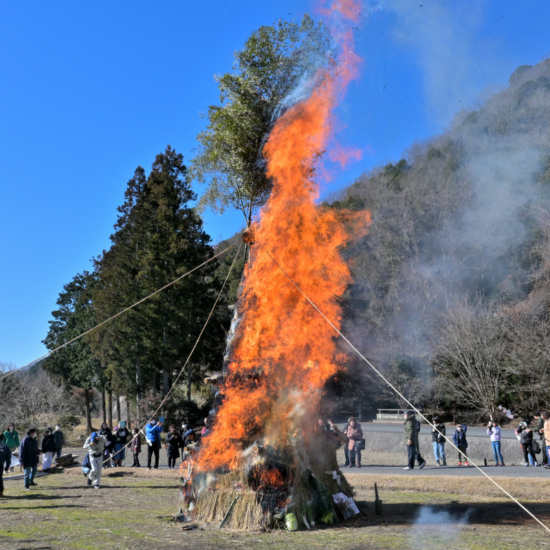 活動報告写真